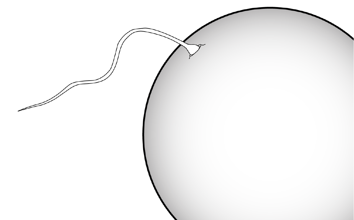 Figure 1: Conception.